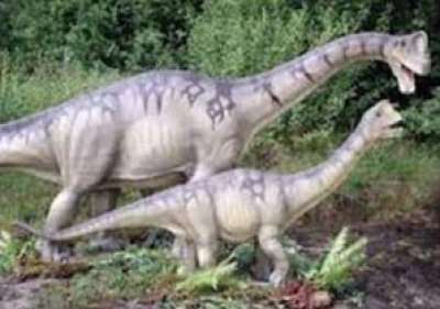 نوع جديد من الديناصورات يدعى "الببغاء مصاص الدماء"