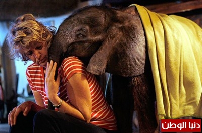 بالصور..امرأة تنام مع الفيل في سرير واحد