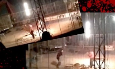 شاهد الفيديو: نمر يهاجم بوحشية مدربه ويقتله أثناء عرض سيرك .. تحذير: يحوي المقطع مشاهد صعبة