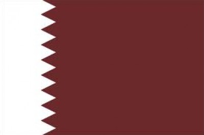 فلسطين تشارك في اجتماعات اللجنة التنفيذية للاتحاد العربي للشراع بقطر