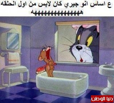 هات تعليق من عندك