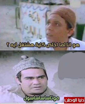 معقول برضو