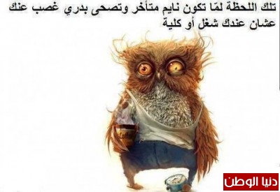 الدوام الساعة 8