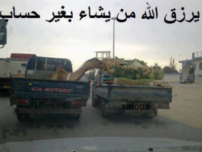يرزق الله من يشاء بغير حساب