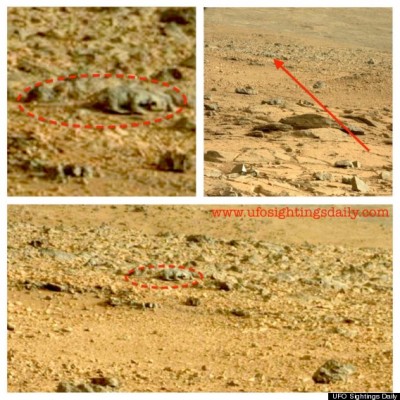 فأر على سطح المريخ؟!.. صور غامضة من ناسا تشعل الجدل على الإنترنت!