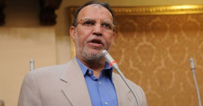 عصام العريان: الدستور الحالى يحتاج إلى تعديلات