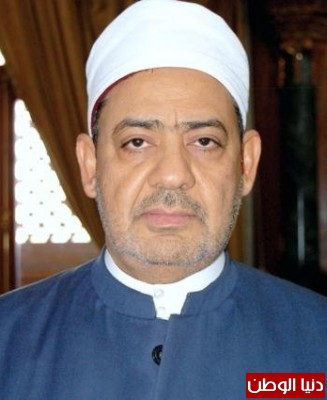 شيخ الأزهر يجيز التظاهر ضد مرسي