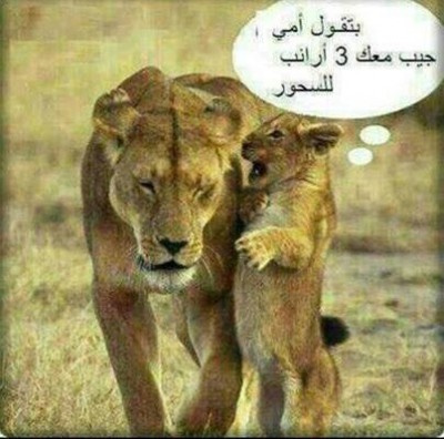 تنساش يا بابا