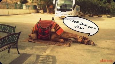 حال الموظف في رمضان