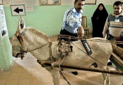 حتي الحمار ما خلص من التفتيش