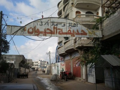 صورة وتعليق