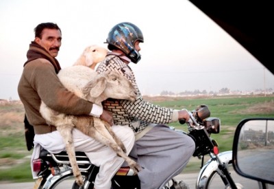 طششني شكرا
