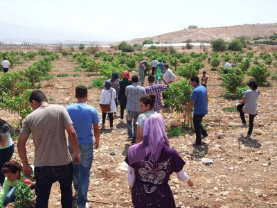 انطلاق فعاليات حملة إيد بإيد لنحمي الأغوار