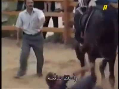 حصان عربي يدخل التاريخ بعد أن ركل رئيس وزراء تركيا "أردوغان" وأسقطه أرضاً .. فيديو