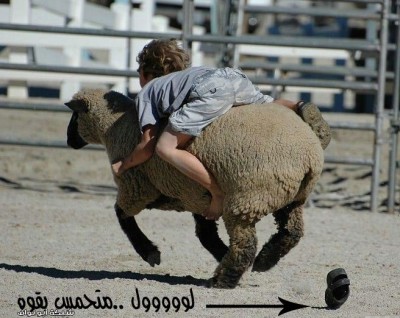 متحمس و بقوة