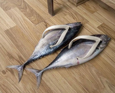 صورة وتعليق
