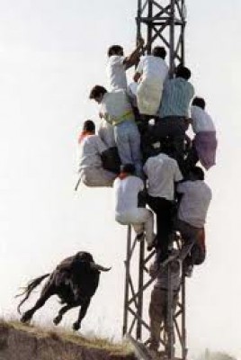 صورة وتعليق
