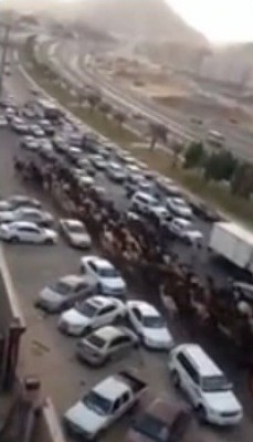 فيديو: قطيع من الابل .. يجتاح شوارع مكة المكرمة ويسبب فوضى