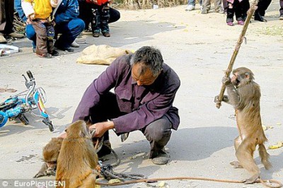 صورة وتعليق