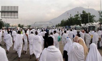 فيديو مدهش .. عصفور يستقر على رأس أحد الحجاج ويطوف معه