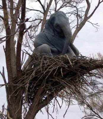 صورة وتعليق
