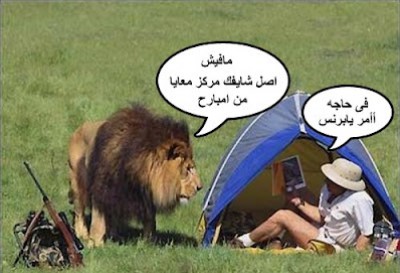 صورة وتعليق