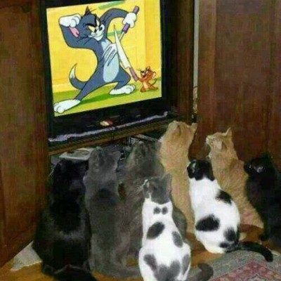حقيقة الصراع الأبدي