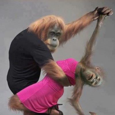 صورة وتعليق