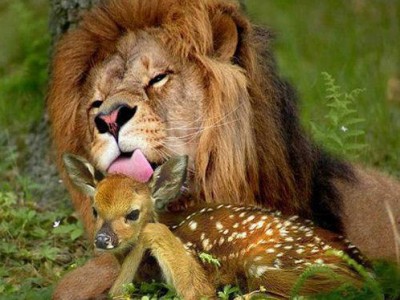 صورة وتعليق