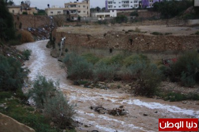 صور.. جريان وادي حي كتف الواد في أريحا