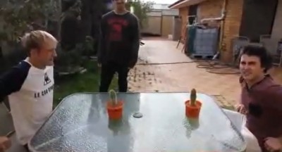 تحدي لا يجرؤ عليه الا المجانين
