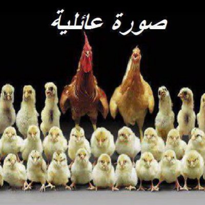 صورة عائلية