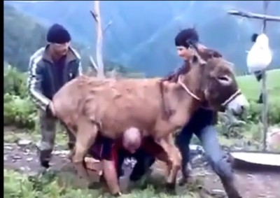 بالفيديو : شاب يثبت قوته بحمله حماراً