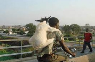 صورة وتعليق