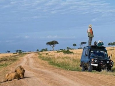 اخر صورة للمراحيم
