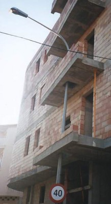 المهندس المحترف