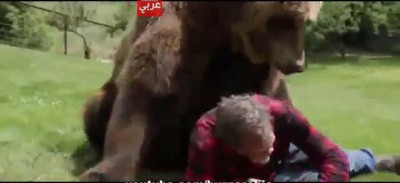 بالفيديو ..عجوز أمريكي جريء جدا يلاعب دبا ضخما للغاية