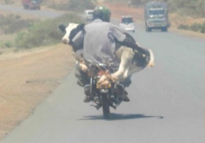 صورة وتعليق