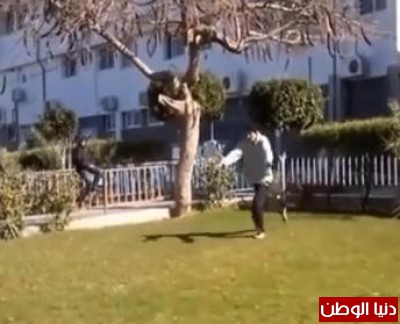 بالفيديو ..طالب ادارة اعمال في جامعة القدس المفتوحة بغزة يتقن رياضة الجمباز بصورة مذهلة