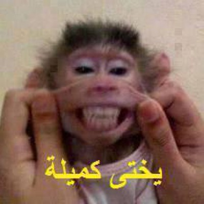 صورة وتعليق