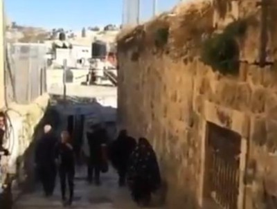 بالفيديو شاهد الطريق من باب حطة لباب الساهرة إلى المسجد الأقصى