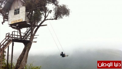 صورة وتعليق