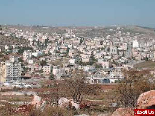 وزارة الثقافة في طوباس تستضيف الشاعر هشام أبو صلاح
