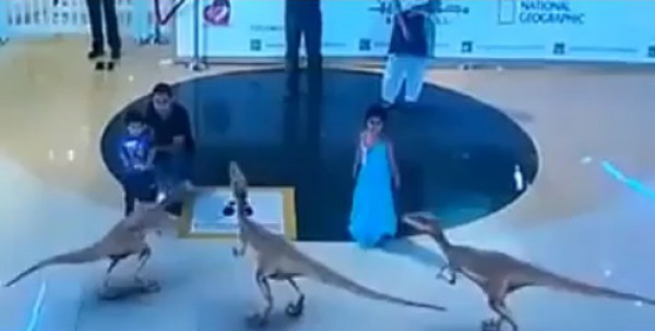 عرض مذهل في مول بدبي .. فيديو