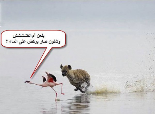 الخوف يعمل أكتر من كدا
