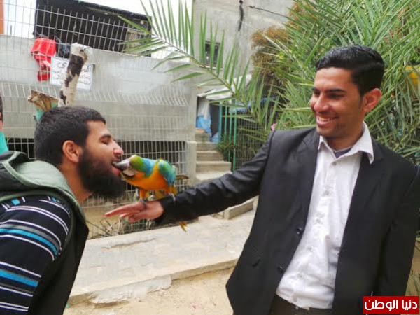فيها قرود وأسود وضباع وأفاعي..فلسطيني من غزة يحول ساحة منزله لحديقة حيوان خاصة