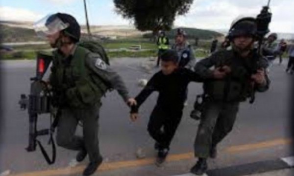 الاحتلال يعتدي على طفل في مدينة الخليل