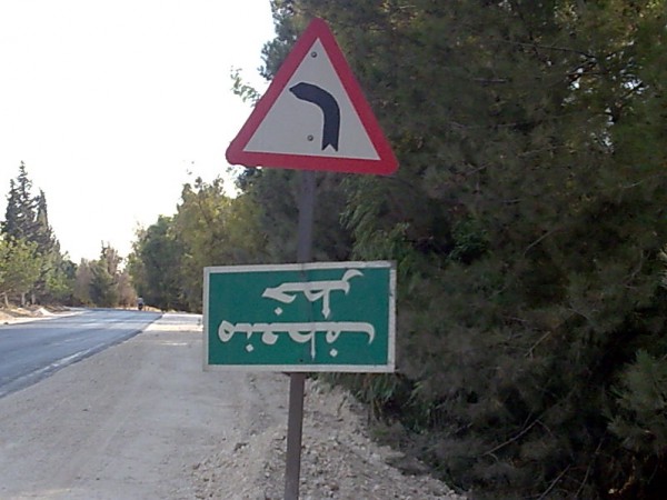 صورة وتعليق