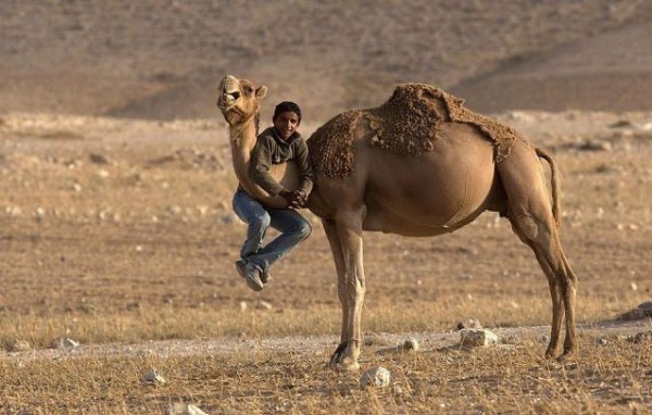 صورة وتعليق