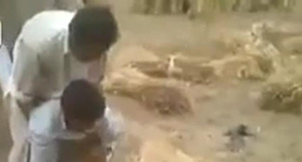 فيديو:باكستانيون يحصدون الزرع بطريقة مضحكة
